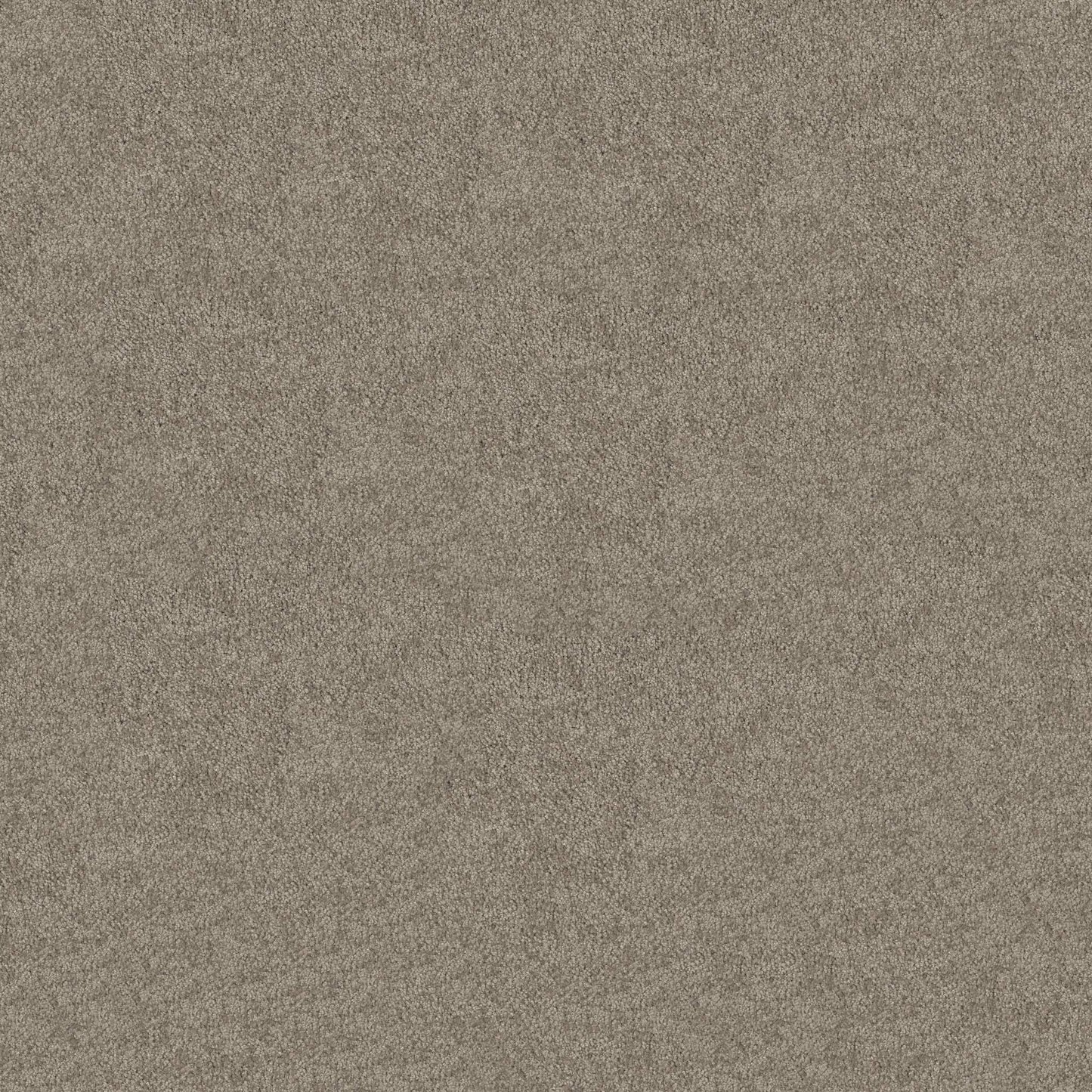 TEXTURE BCF