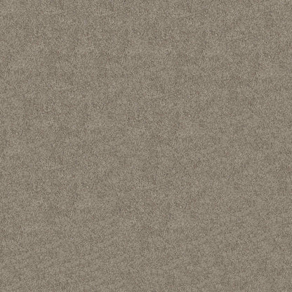 TEXTURE BCF