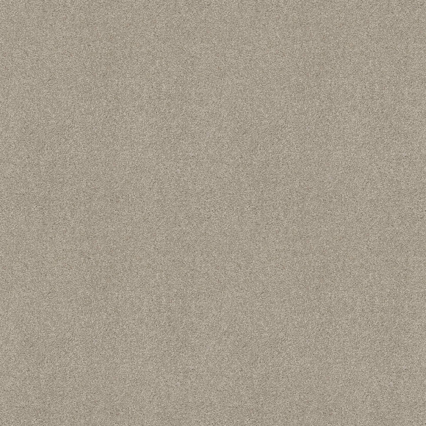 TEXTURE BCF