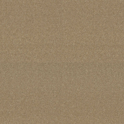 TEXTURE BCF