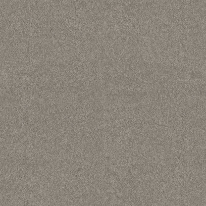 TEXTURE BCF