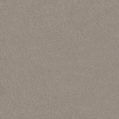 TEXTURE BCF