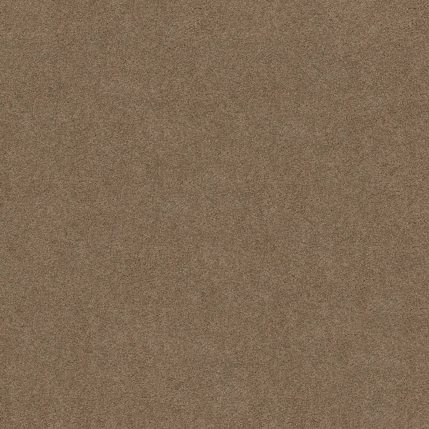 TEXTURE BCF