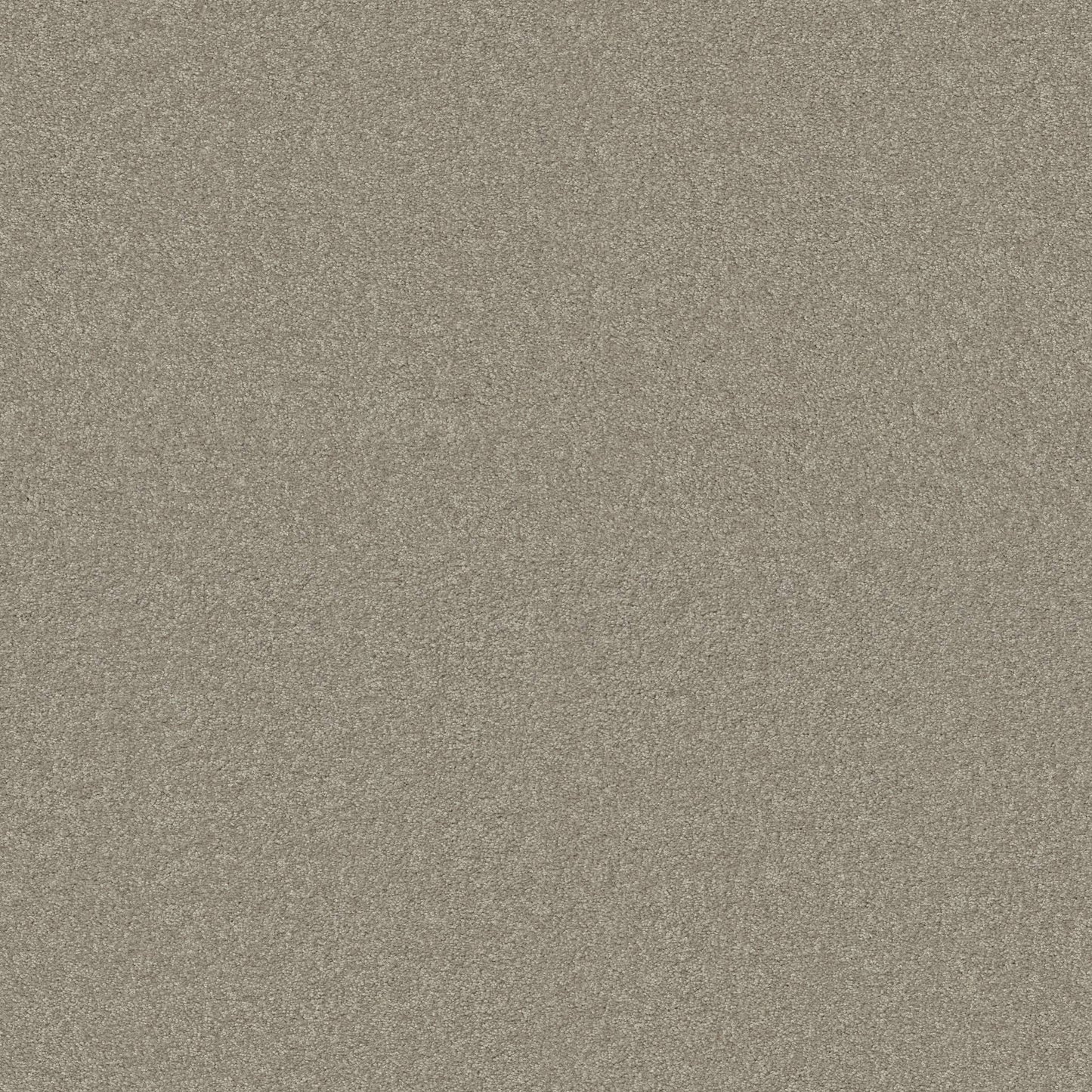 TEXTURE BCF