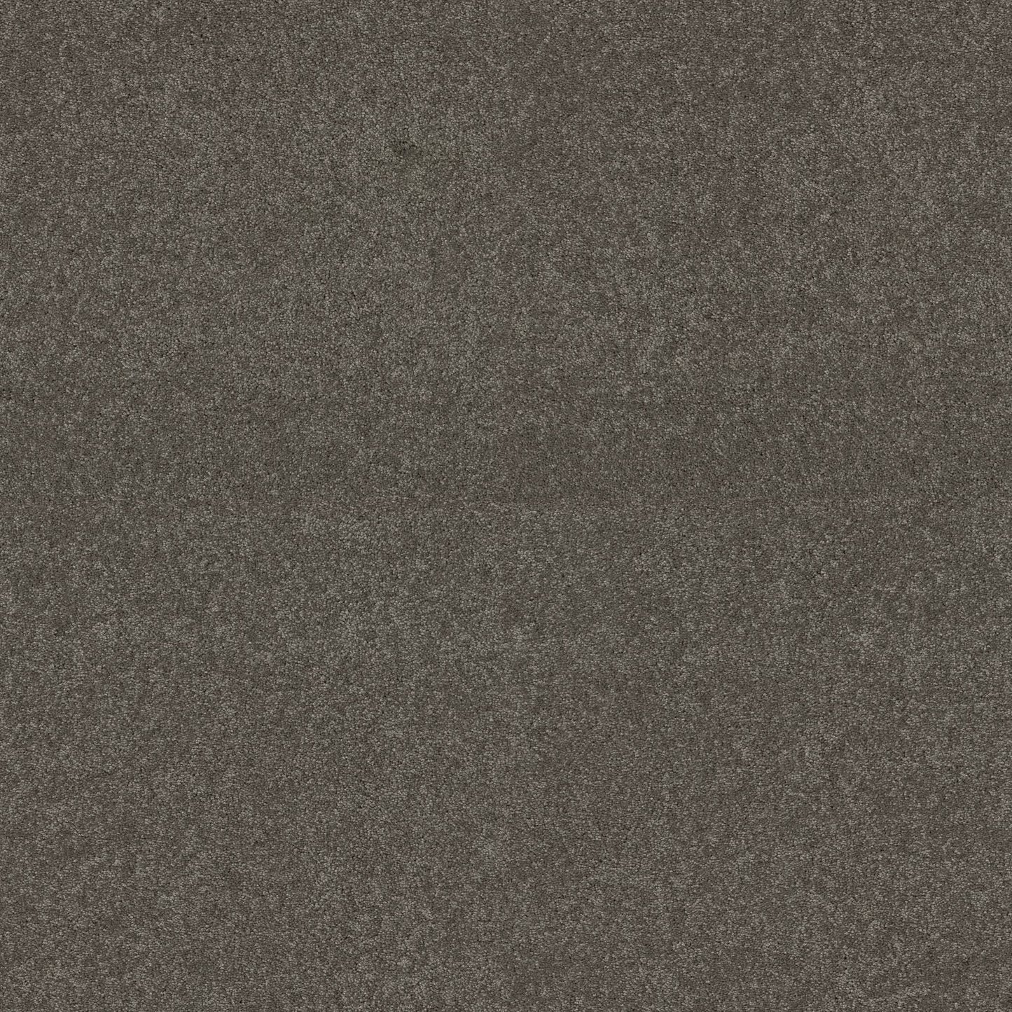 TEXTURE BCF
