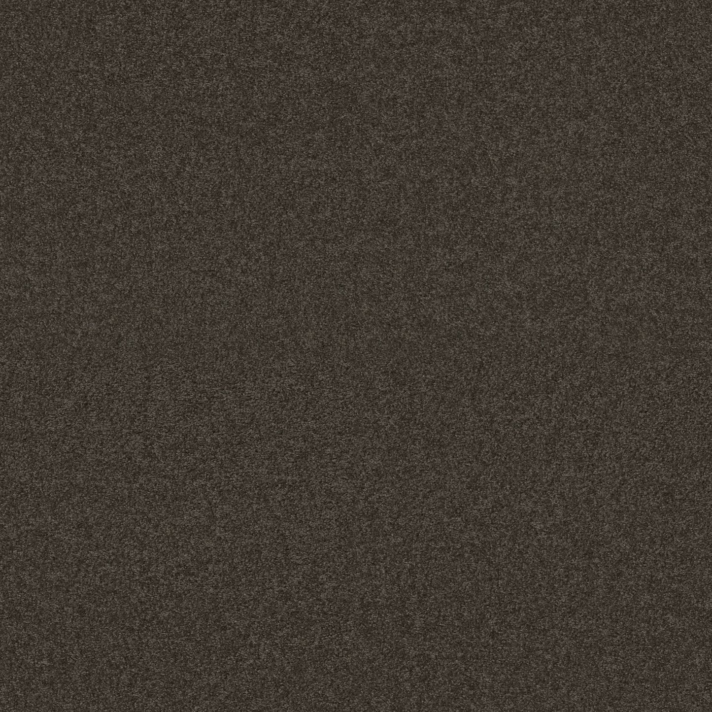 TEXTURE BCF