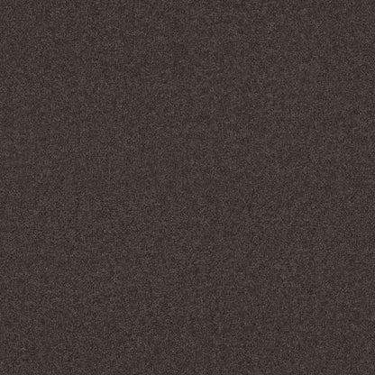 TEXTURE BCF