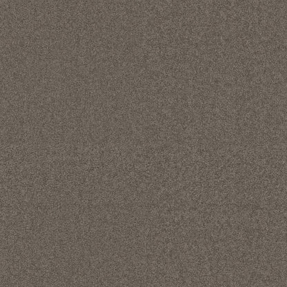 TEXTURE BCF
