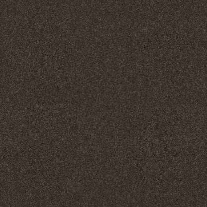 TEXTURE BCF