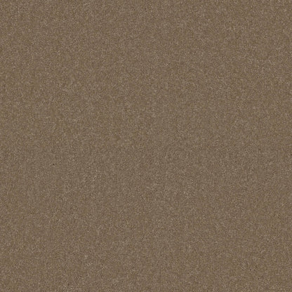 TEXTURE BCF