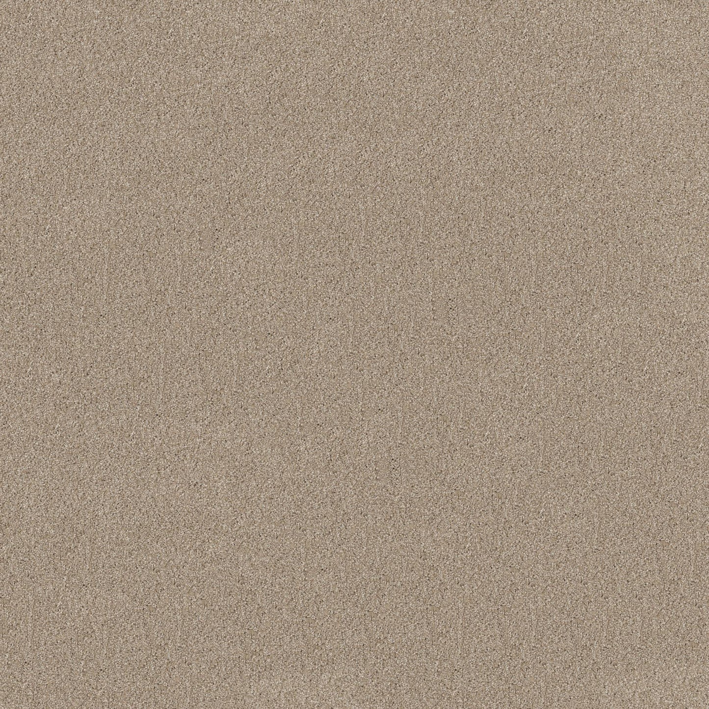 TEXTURE BCF