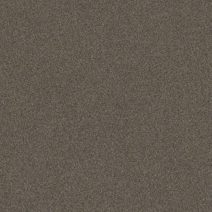 TEXTURE BCF