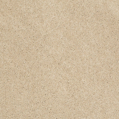 TEXTURE BCF
