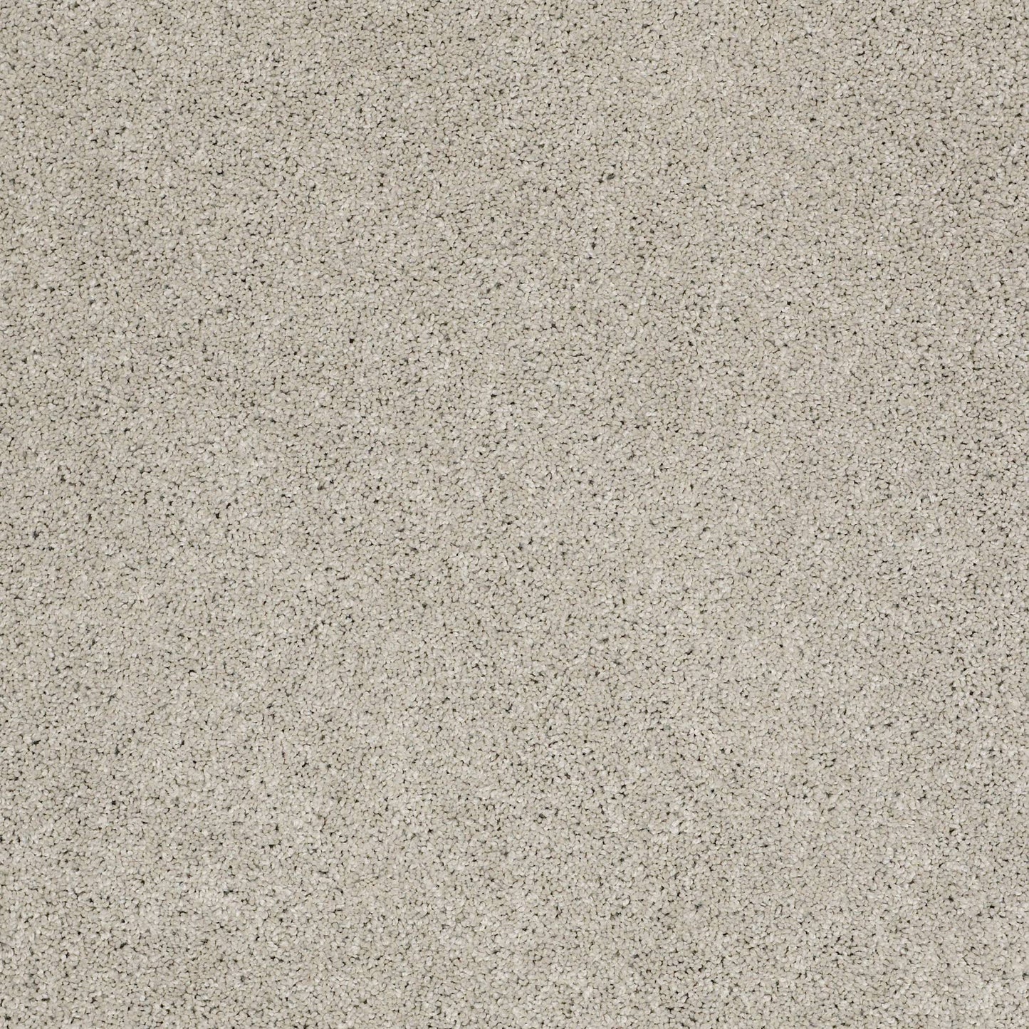 TEXTURE BCF