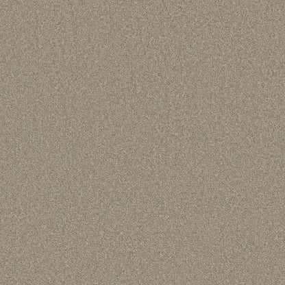 TEXTURE BCF
