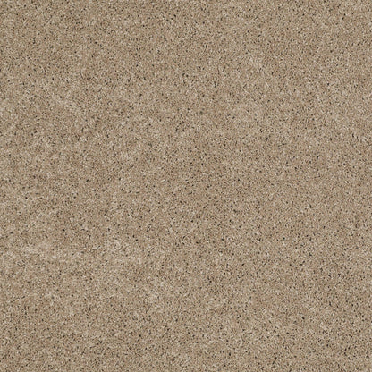 TEXTURE BCF