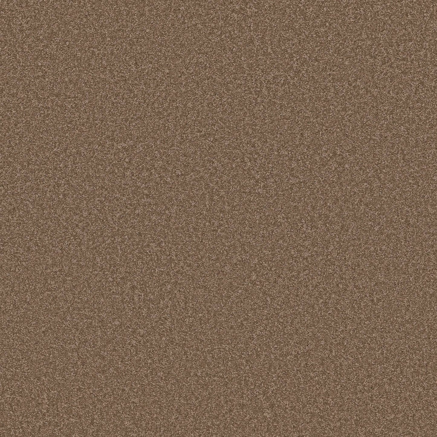 TEXTURE BCF