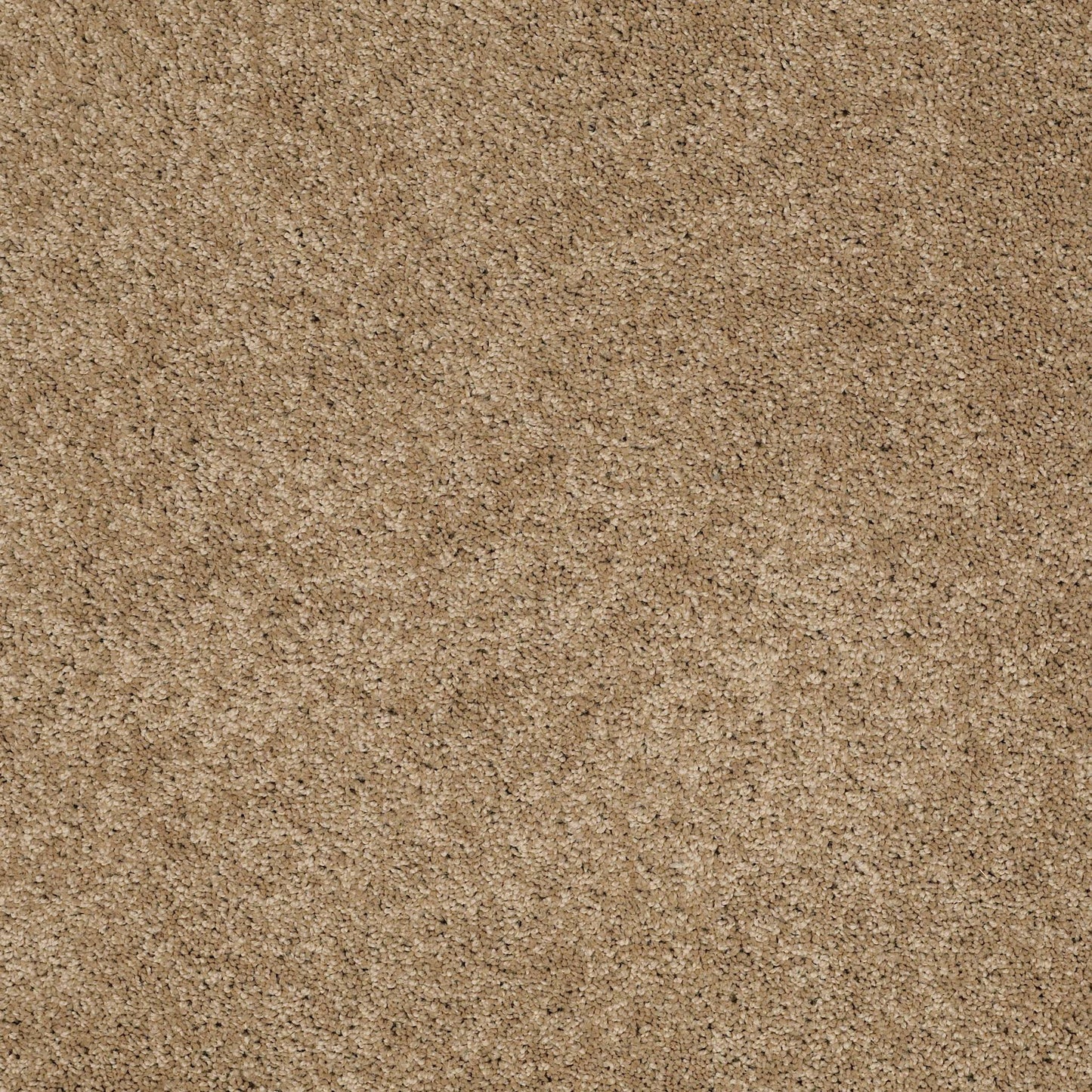 TEXTURE BCF