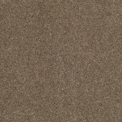 TEXTURE BCF