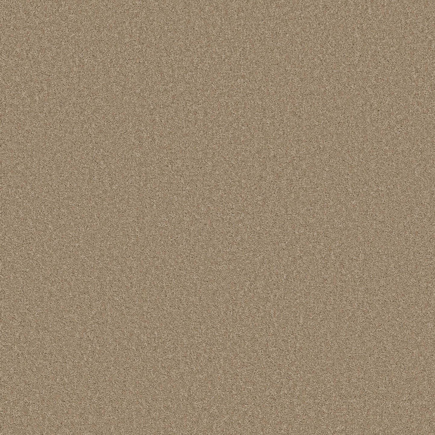 TEXTURE BCF