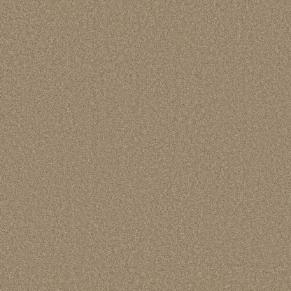 TEXTURE BCF