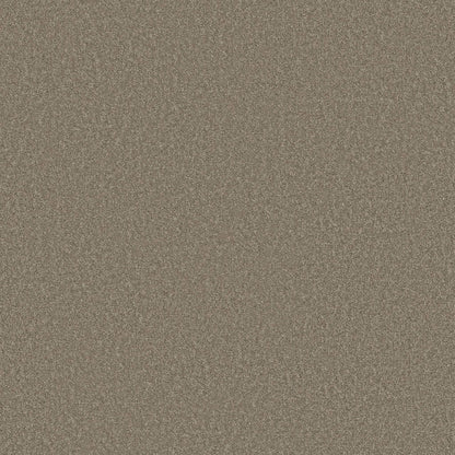 TEXTURE BCF