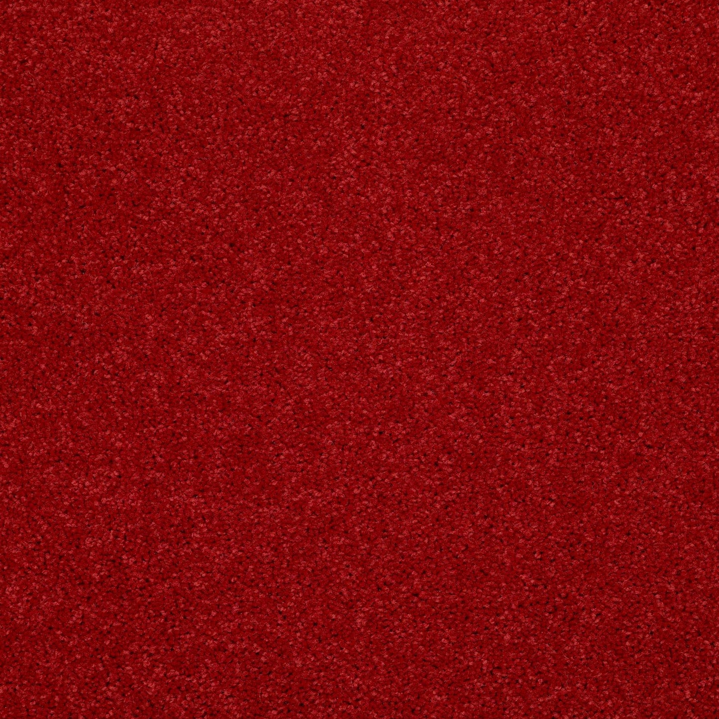 PET BCF