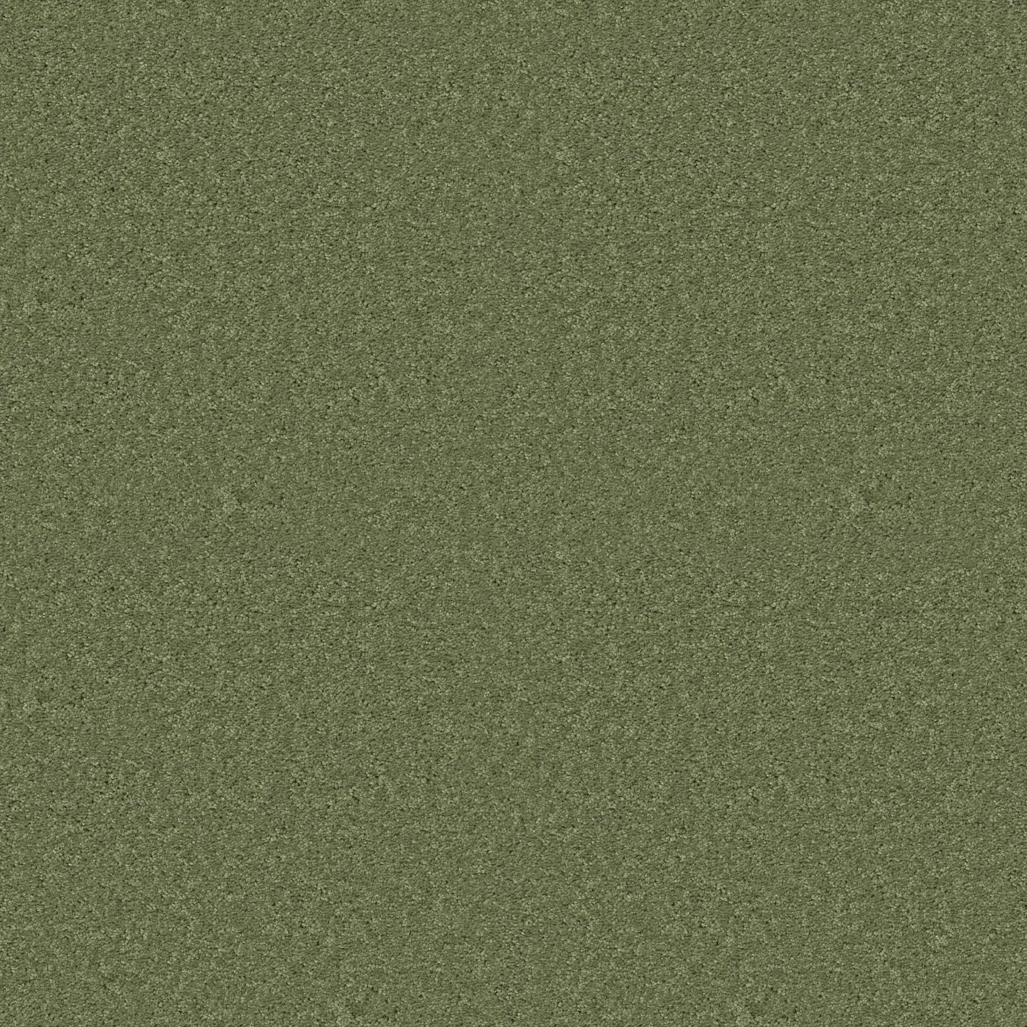 PET BCF