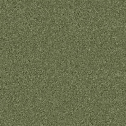 PET BCF