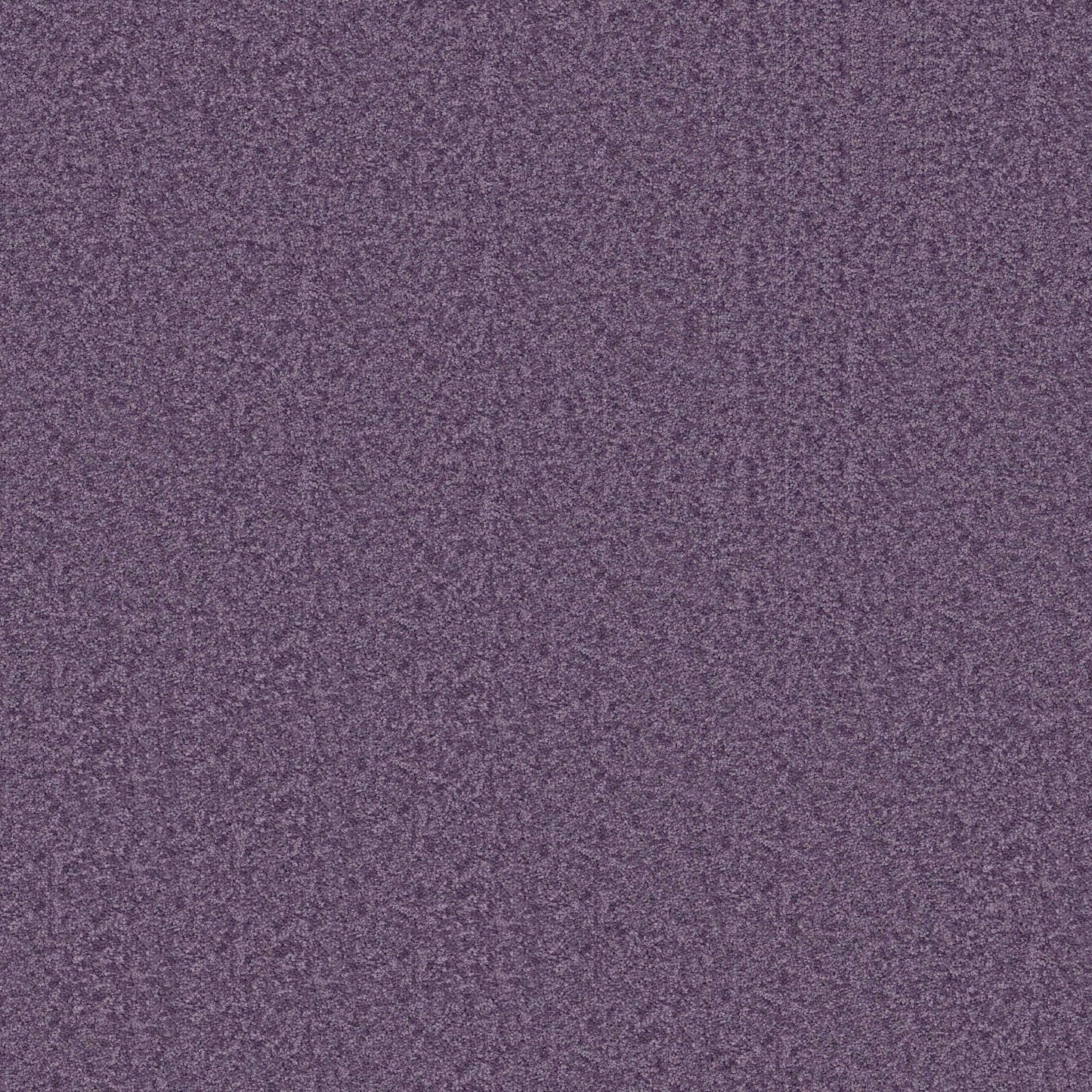 PET BCF