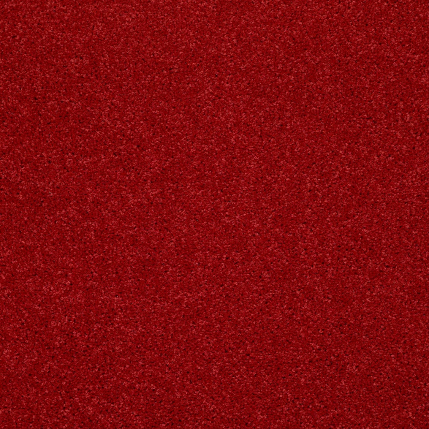 PET BCF