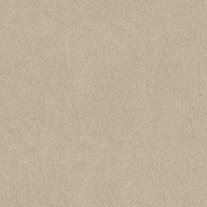 TEXTURE BCF