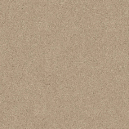 TEXTURE BCF