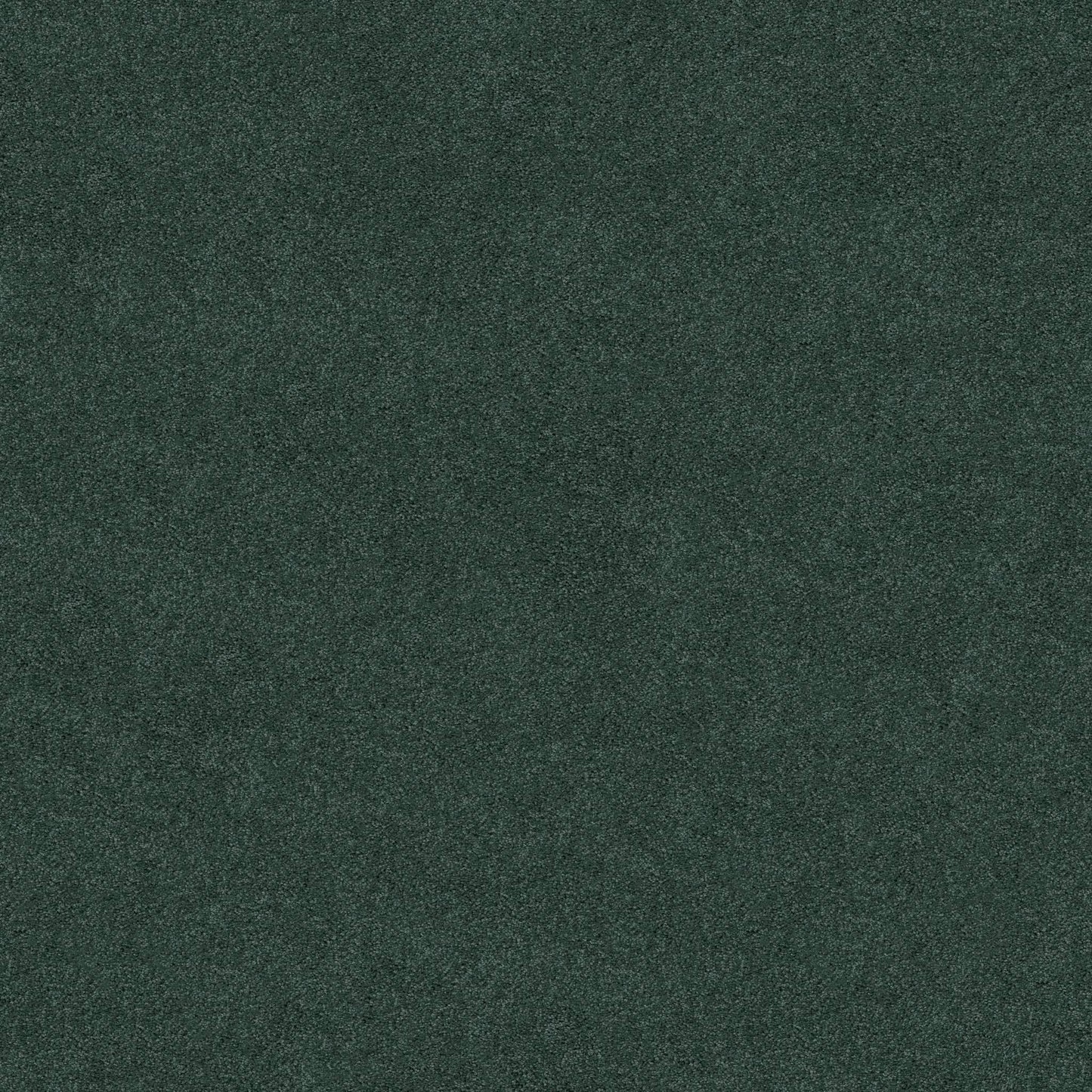 TEXTURE BCF