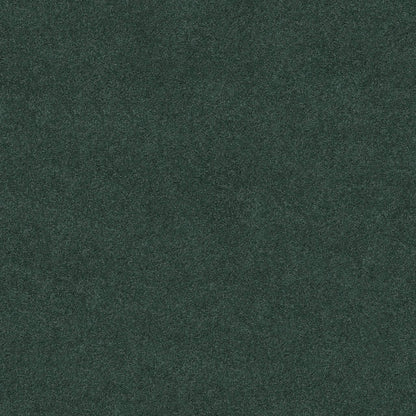 TEXTURE BCF