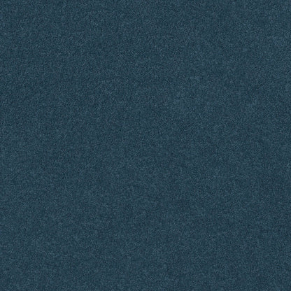TEXTURE BCF
