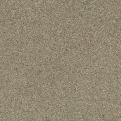 TEXTURE BCF
