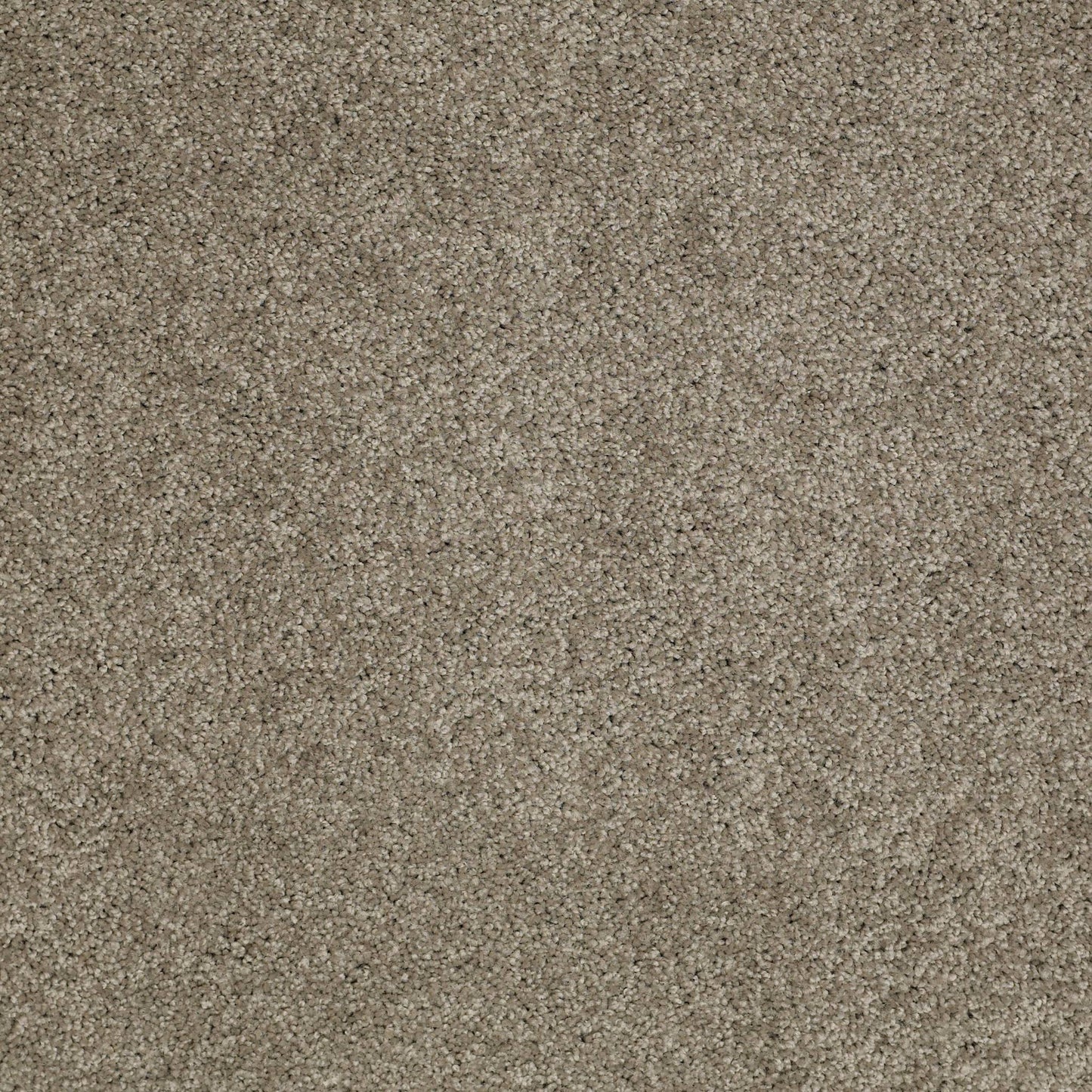 TEXTURE BCF