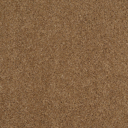 TEXTURE BCF