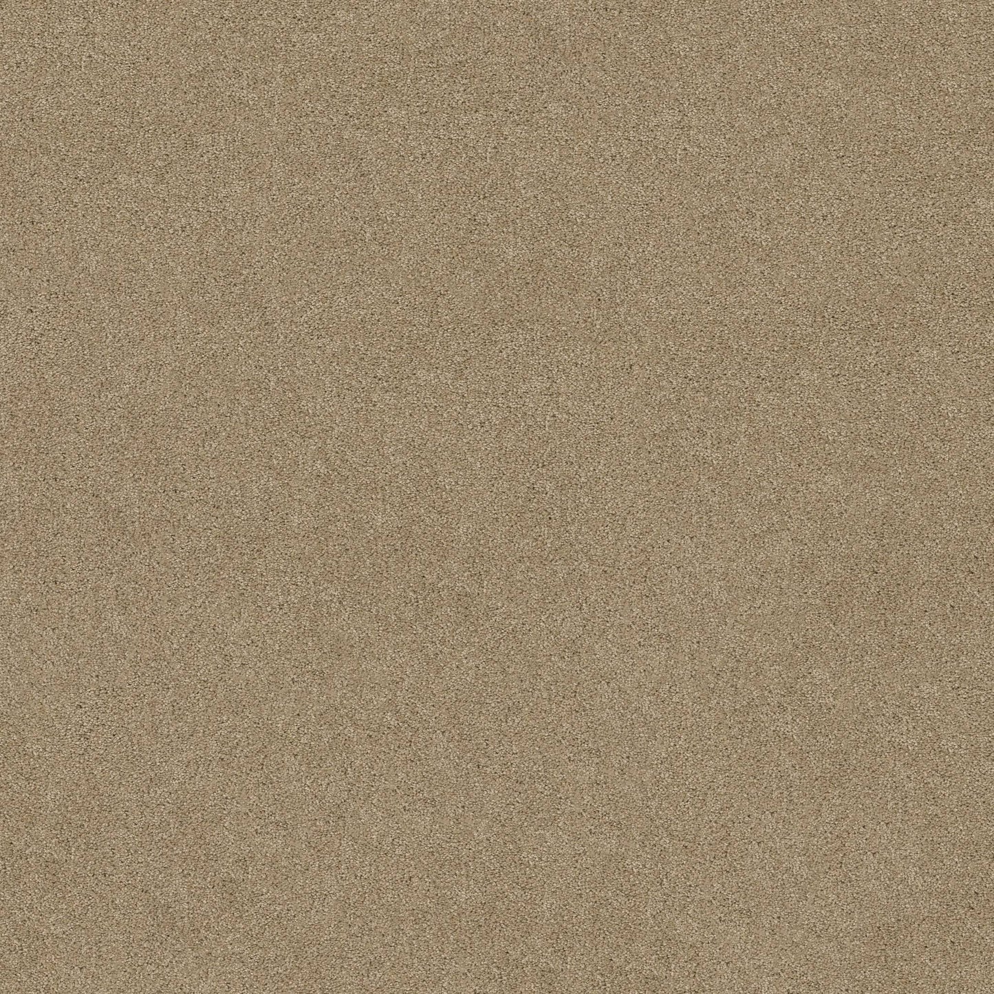 TEXTURE BCF