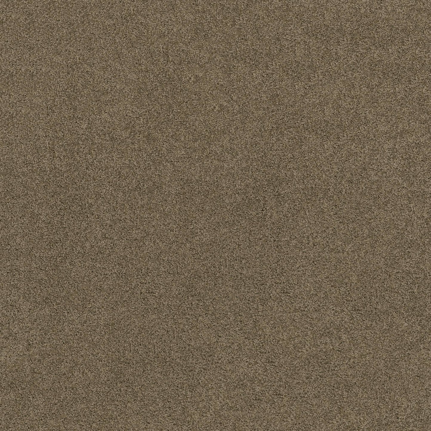 TEXTURE BCF
