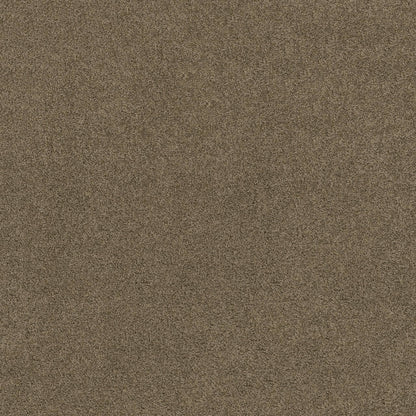 TEXTURE BCF
