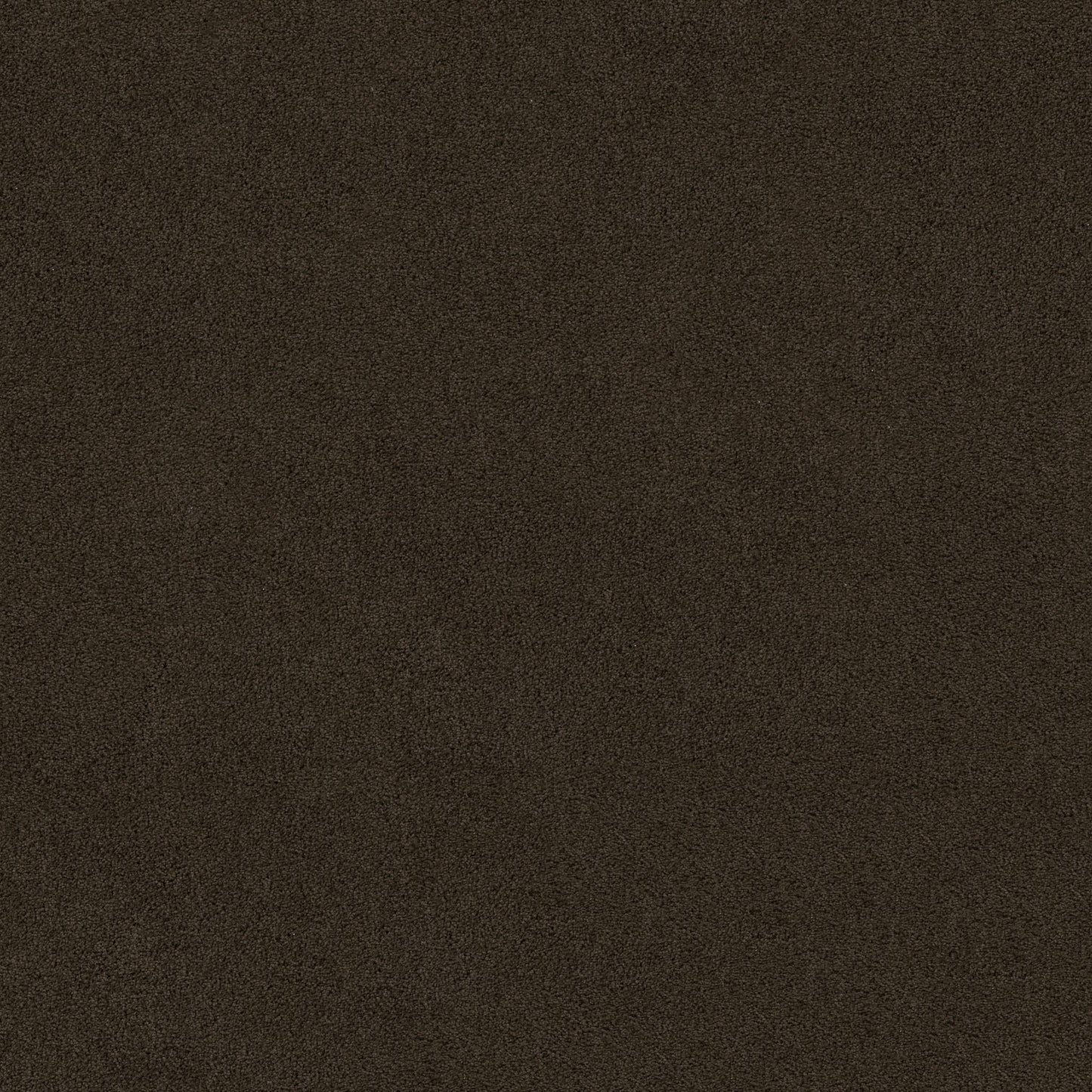 TEXTURE BCF