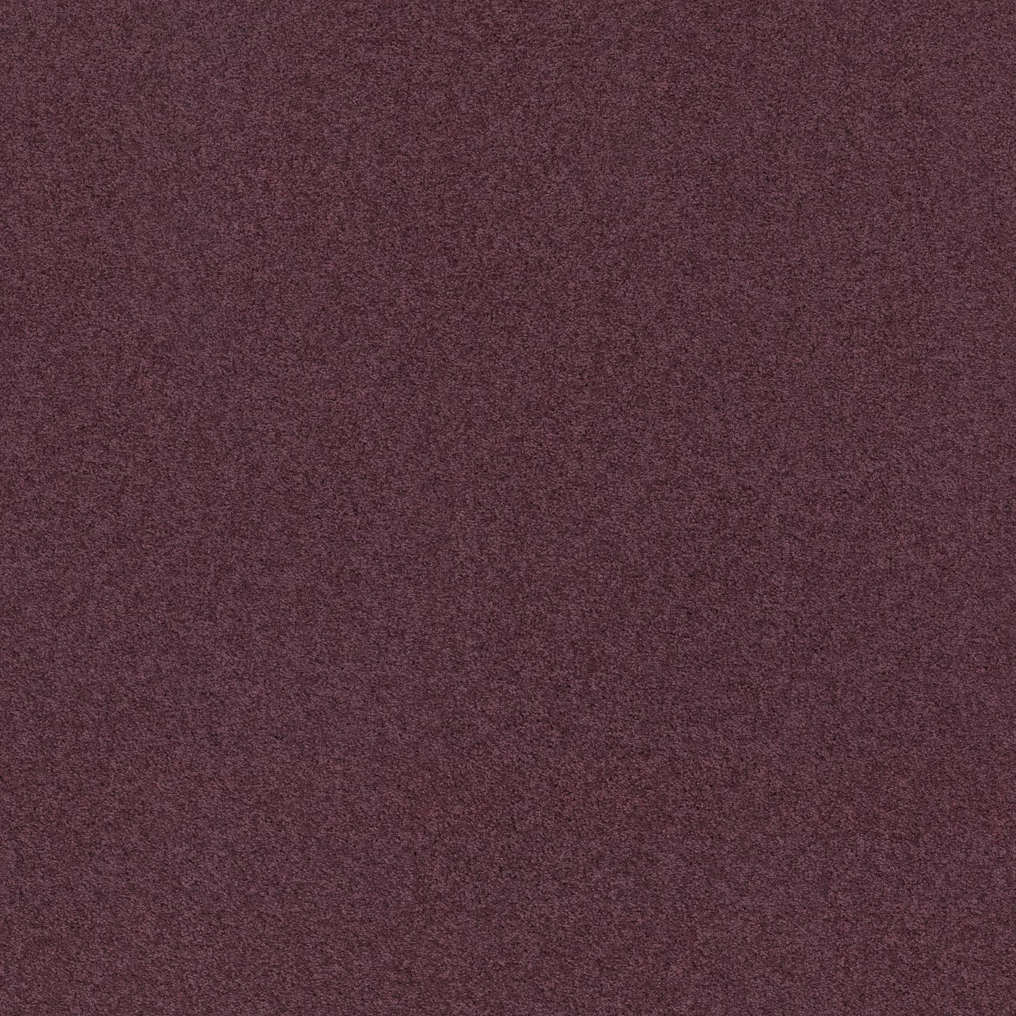 TEXTURE BCF