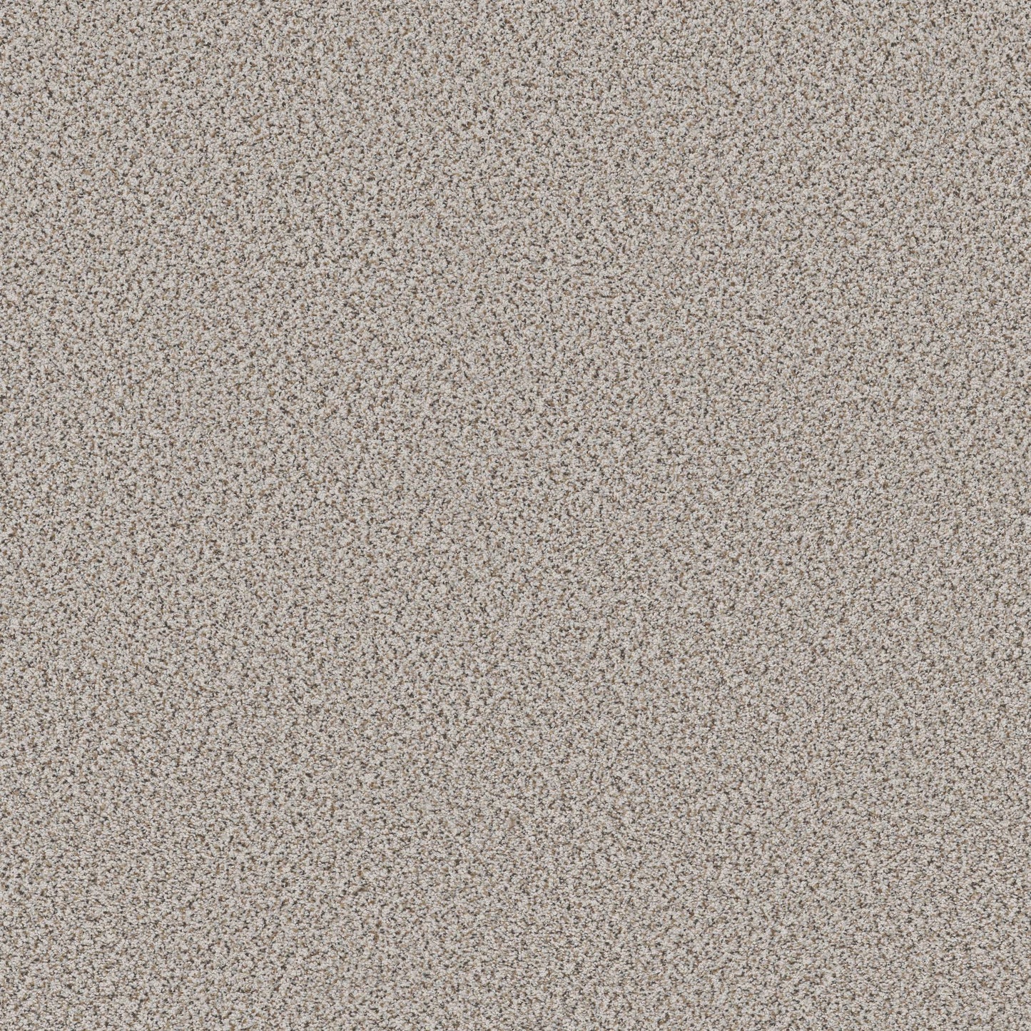 BERBER CUT PILE