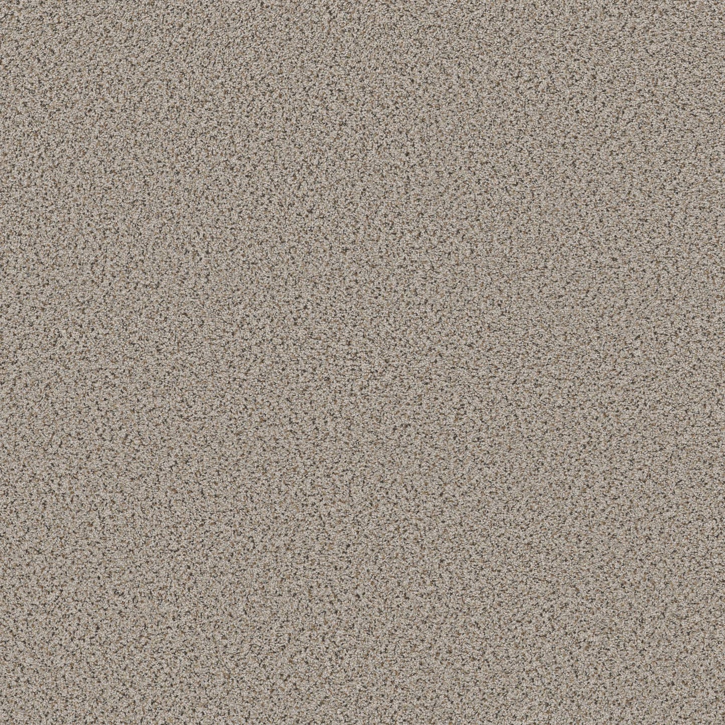 BERBER CUT PILE