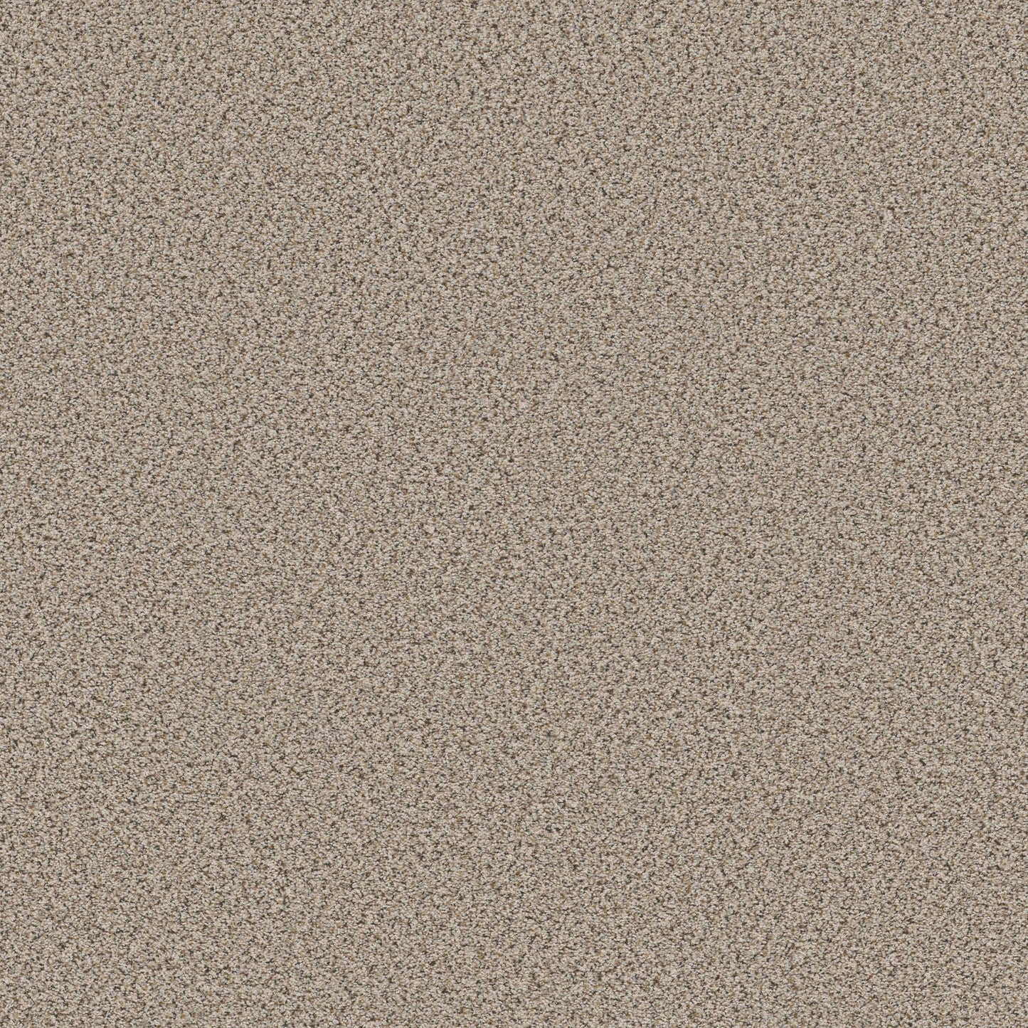 BERBER CUT PILE