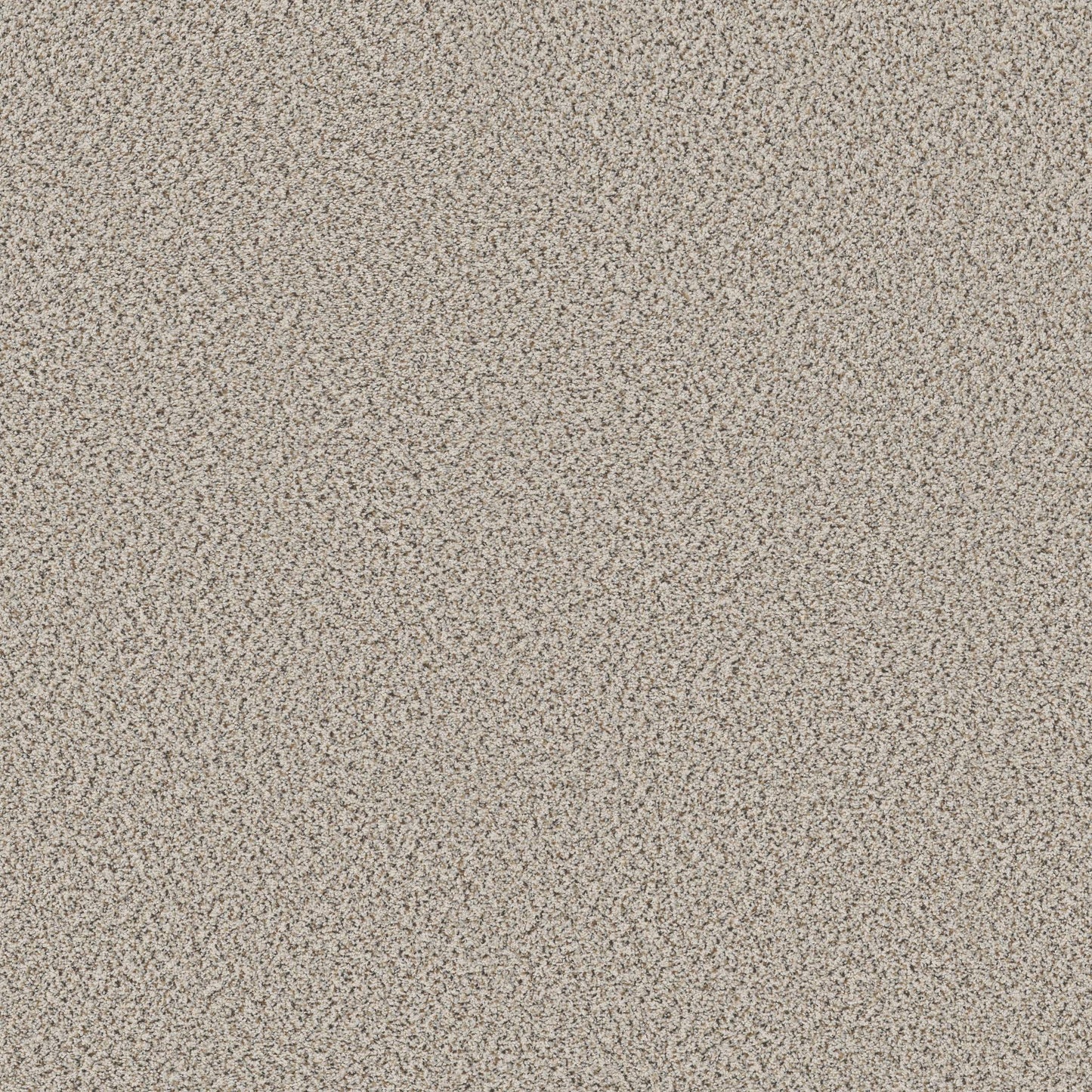 BERBER CUT PILE