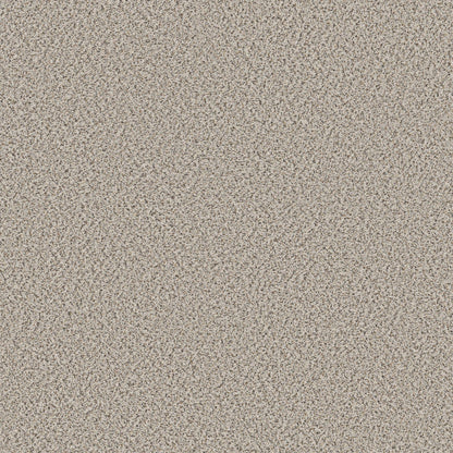 BERBER CUT PILE