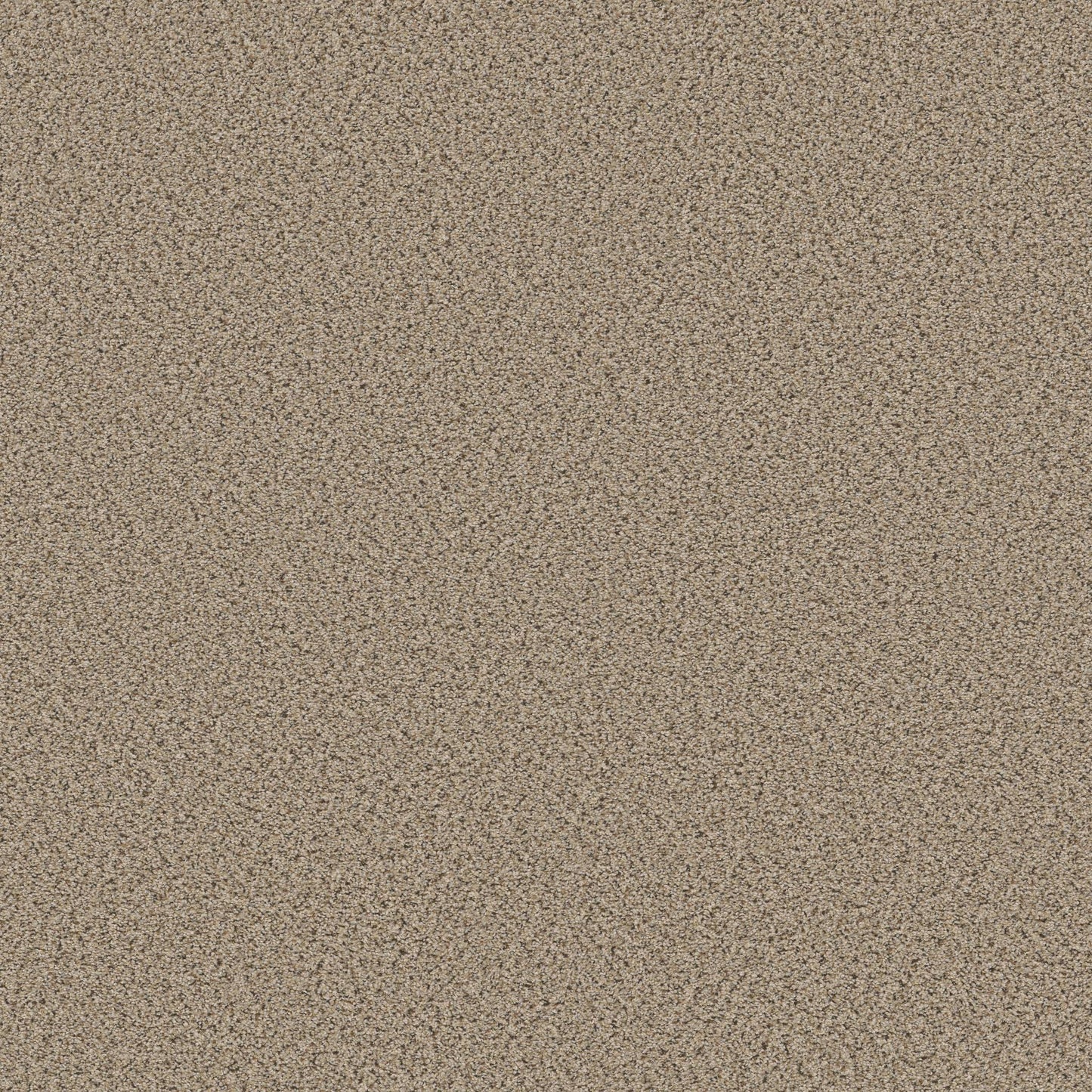 BERBER CUT PILE